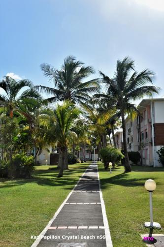 FB-allee-cocotiers-Kaz-Papillon-DSC 0128 (1)