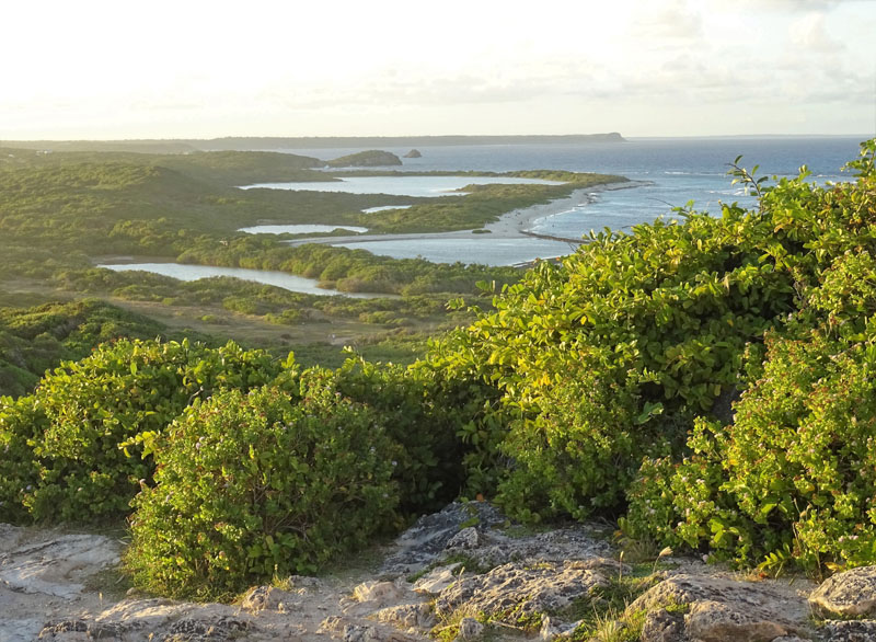 hébergement saint Francois Guadeloupe