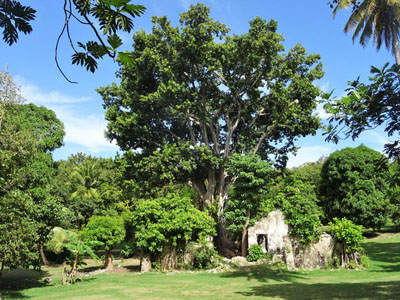 Location T2 Saint François Guadeloupe