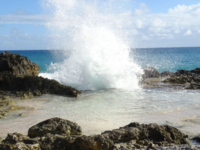 Location T2 Saint François Guadeloupe