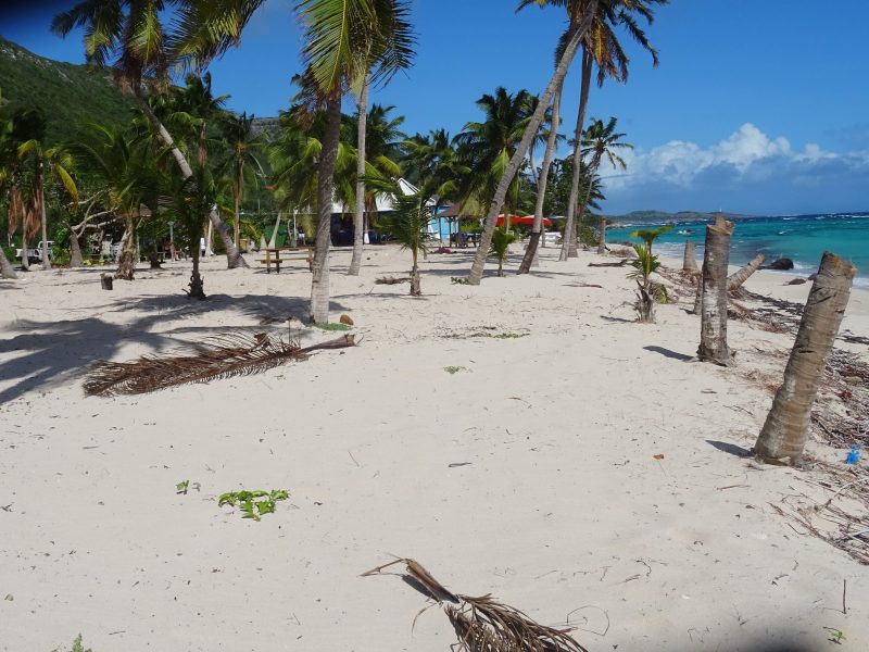 2-plage-souffleur