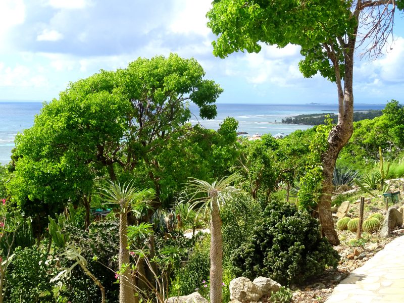 jardin-6