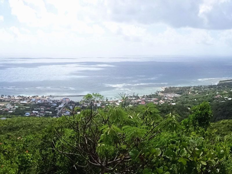 panorama